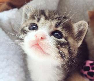 钣金加工机箱机柜时外观的尺寸是如何保持良好？